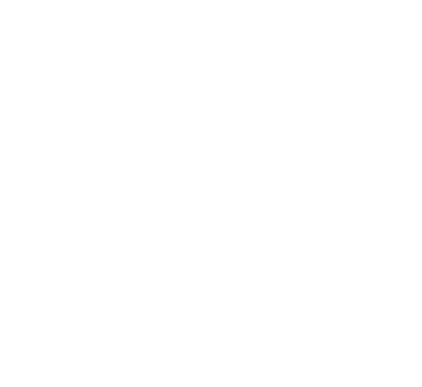 Enterprise Europe